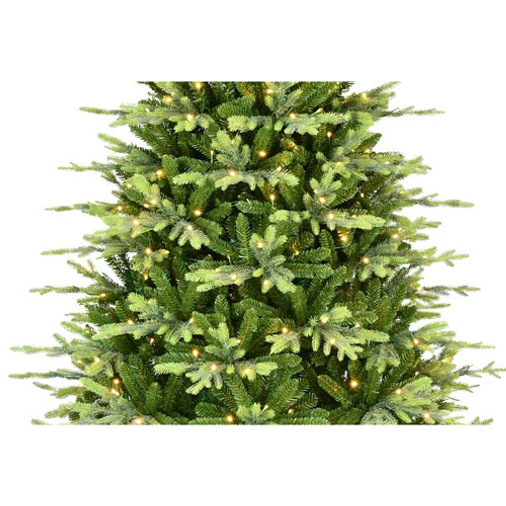 Puleo 7.5 Ft. Pre-lit Carrington Christmas Fir Tree (301-CAT-75LW5K4-CUL)