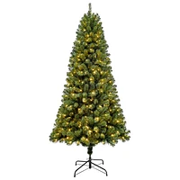 Arbre de Noël de 7 pi avec lumières de Puleo (357OFD70LDF3KZ350CUL) - Épinette Oxford