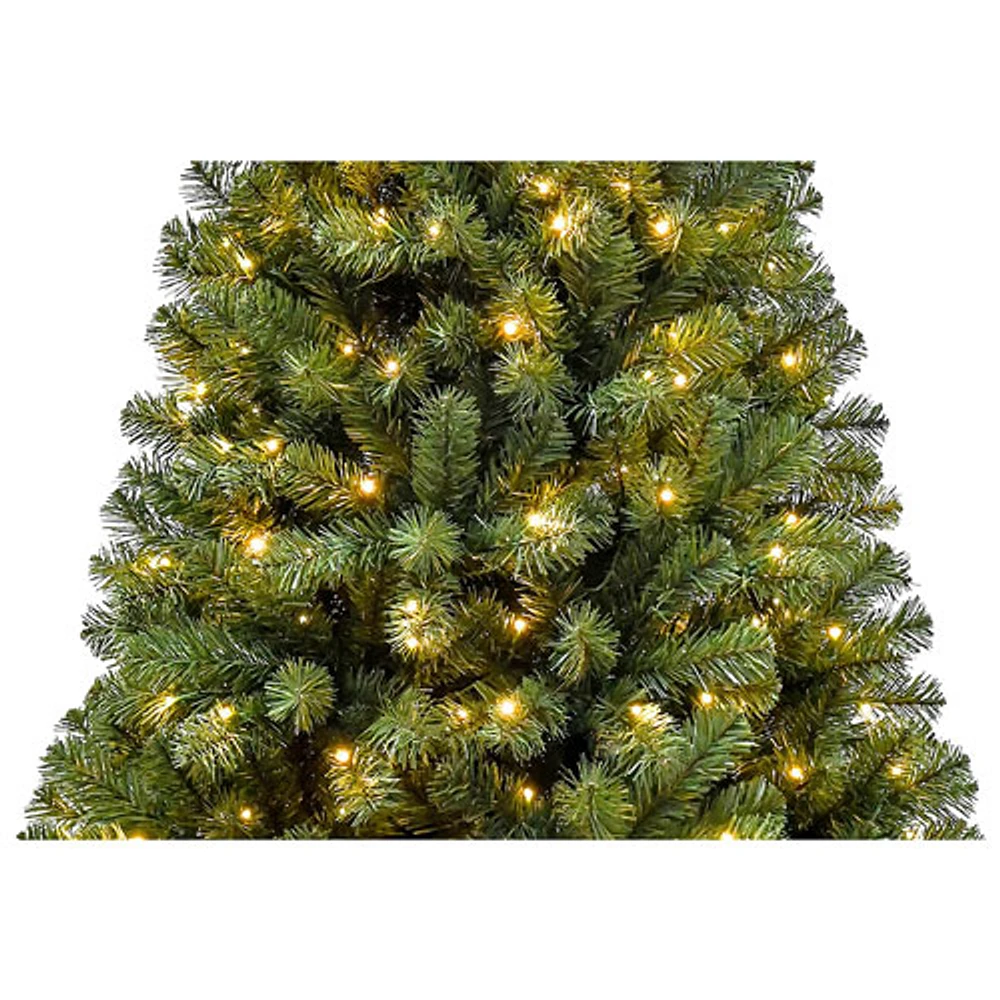 Arbre de Noël de 7 pi avec lumières de Puleo (357OFD70LDF3KZ350CUL) - Épinette Oxford