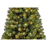 Arbre de Noël de 7 pi avec lumières de Puleo (357OFD70LDF3KZ350CUL) - Épinette Oxford