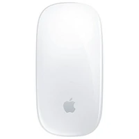 Apple Magic Multi-Touch Mouse - White