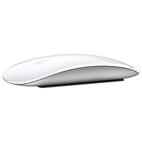 Apple Magic Multi-Touch Mouse - White