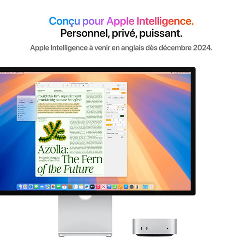 Ordinateur Mac mini de 512 Go d'Apple (MU9E3VC/A) avec puce M4 d'Apple à processeur central 10 coeurs/processeur graphique 10 coeurs/RAM 16 Go