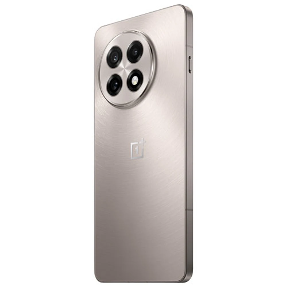 OnePlus 13R de 256 Go - Argenté Astral Trail - Déverrouillé