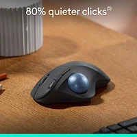 Souris ergonomique sans fil à boule de commande 2000 ppp Ergo M575S de Logitech - Noir