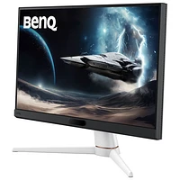 BenQ 24.5" FHD 220Hz 1ms GTG IPS LED FreeSync Gaming Monitor (EX251) - Black