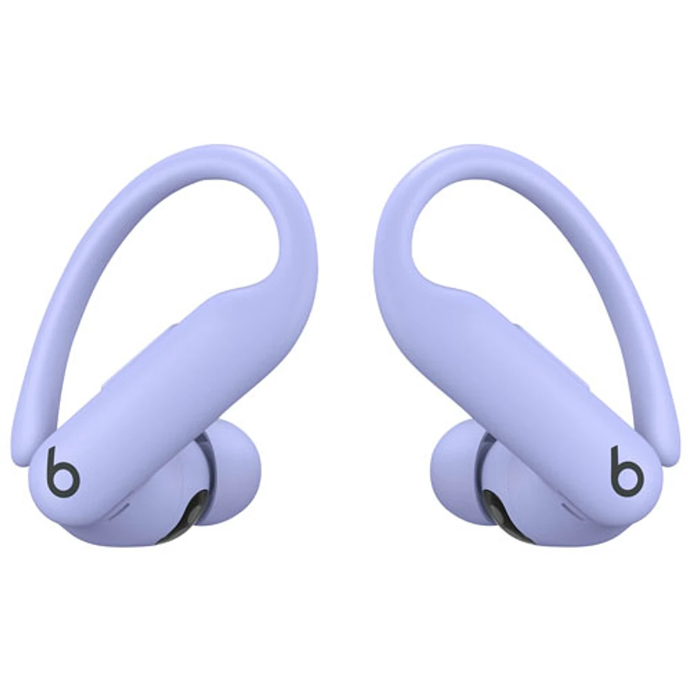 Beats by Dr. Dre Powerbeats Pro 2 In-Ear True Wireless Earbuds