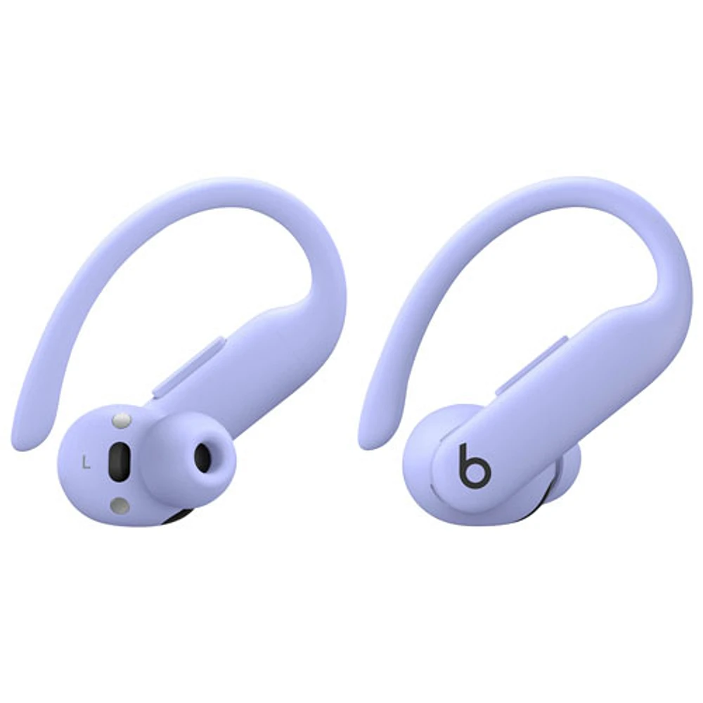 Beats by Dr. Dre Powerbeats Pro 2 In-Ear True Wireless Earbuds