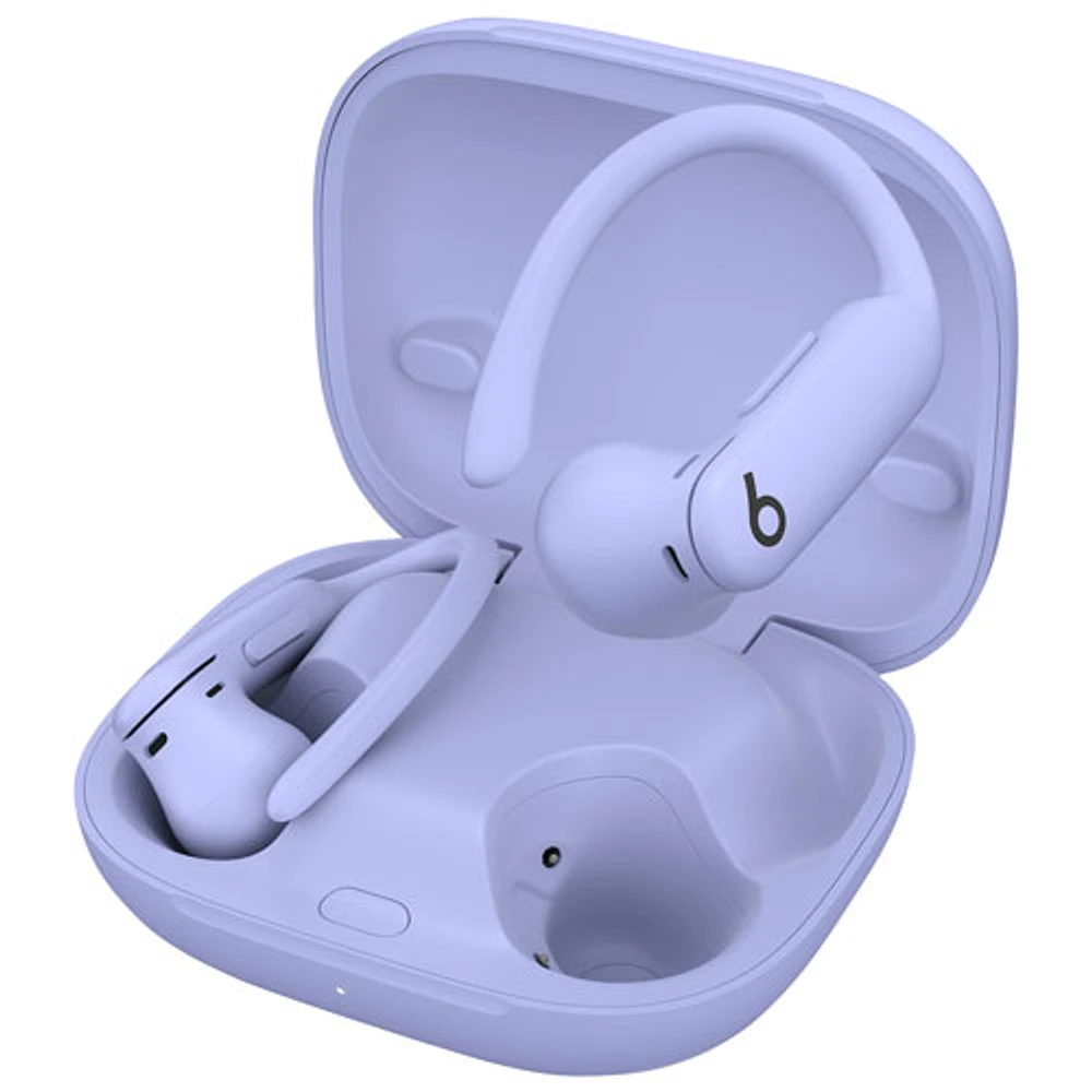 Beats by Dr. Dre Powerbeats Pro 2 In-Ear True Wireless Earbuds