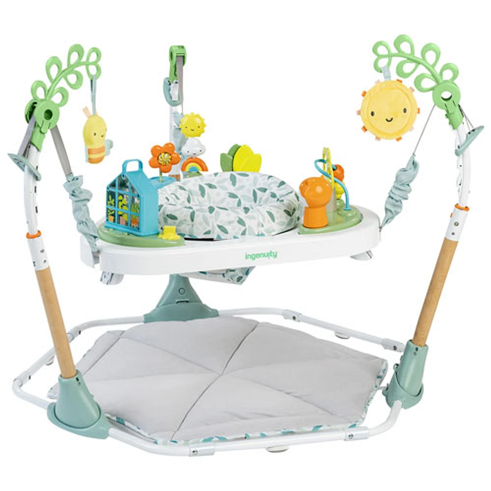 Ingenuity Tummy-to-Toes 6-in-1 Milestones Center