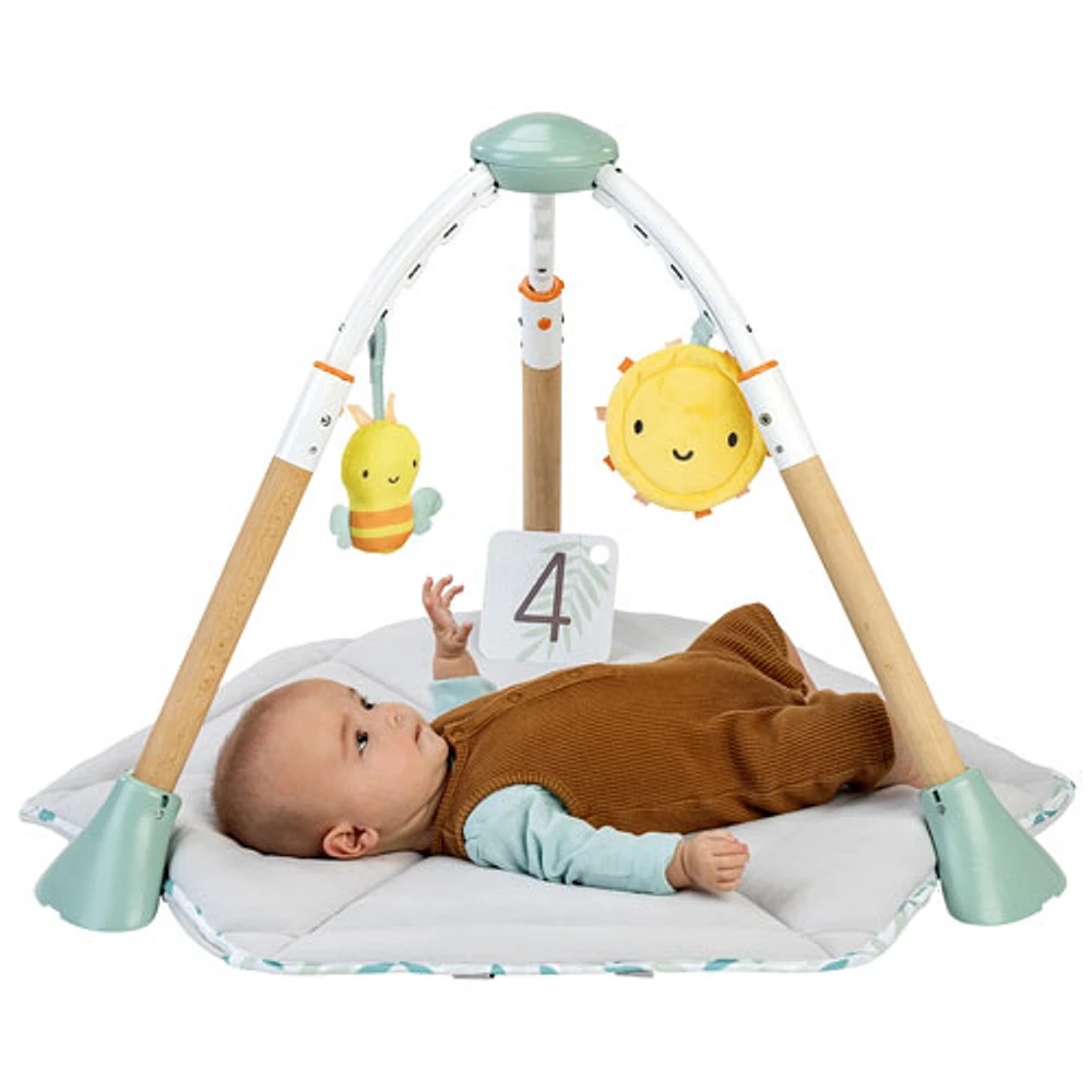 Ingenuity Tummy-to-Toes 6-in-1 Milestones Center