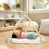 Ingenuity Tummy-to-Toes 6-in-1 Milestones Center