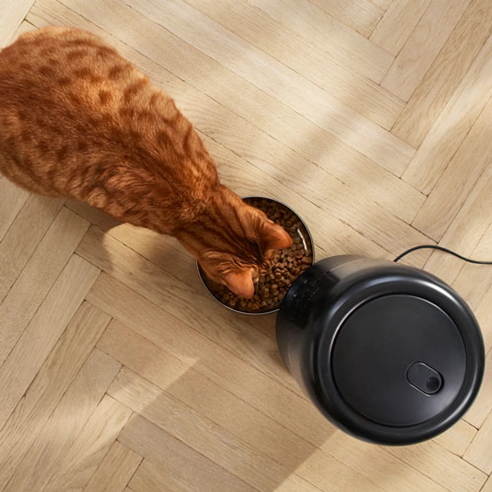 Distributeur intelligent de nourriture pour chats 4,5 l avec caméra série 5000 de Philips (PAW5320/02) - Noir