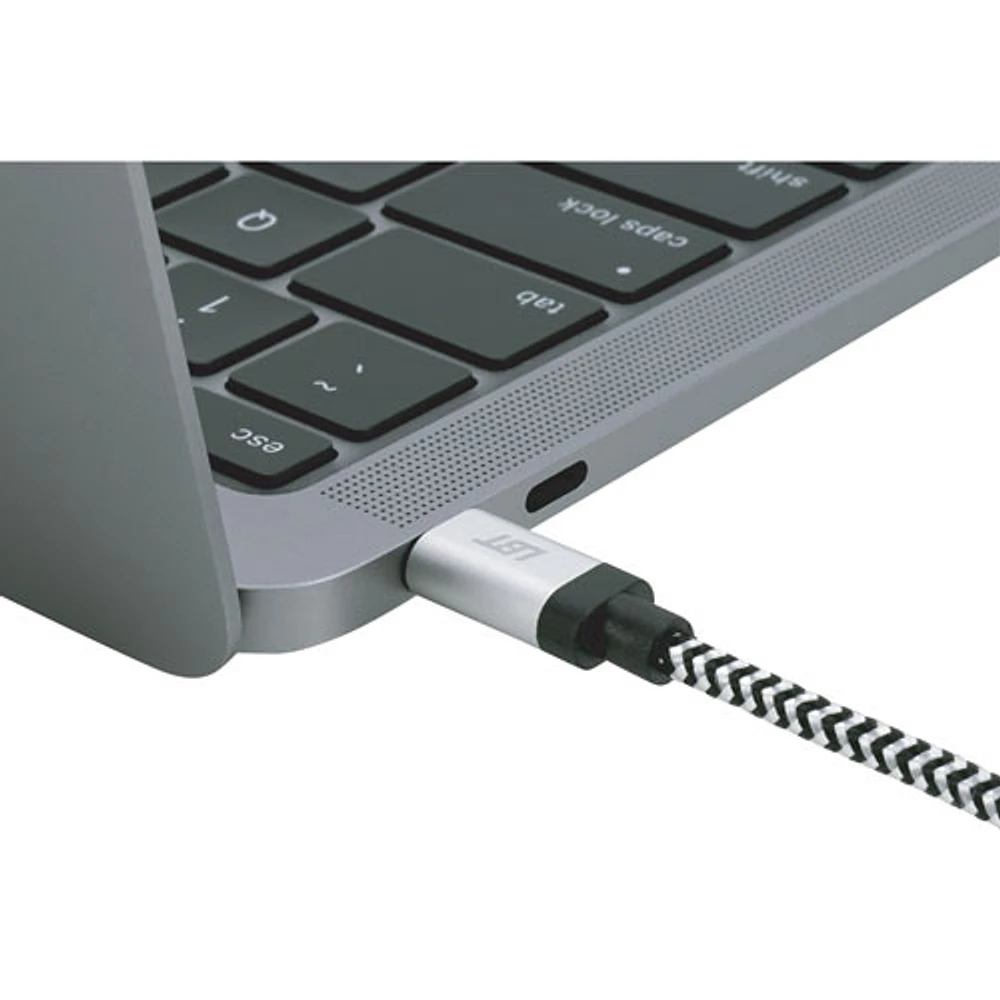 LBT 0.3m (1 ft.) Braided USB-C to USB-C Cable (LBTBW0103) - Black/White