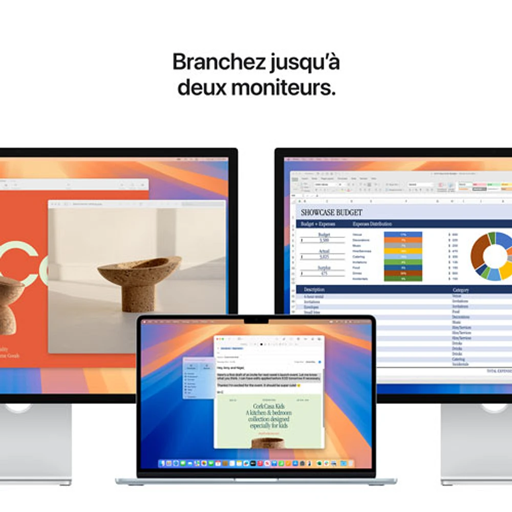 MacBook Air de 15,3 po avec Touch ID d'Apple (2025) - Bleu ciel (M4 d'Apple/RAM 16 Go/SSD Go