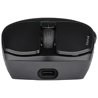 Souris de jeu optique Bluetooth 26 000 ppp Katar Elite Wireless de Corsair - Noir