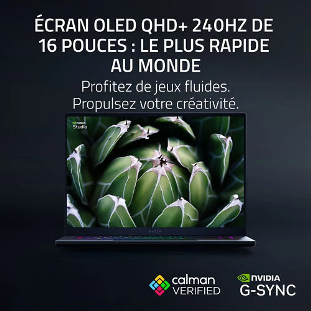 Razer Blade 16" Gaming Laptop - Black (AMD Ryzen AI 9 365/64GB RAM/2TB SSD/RTX 5080)