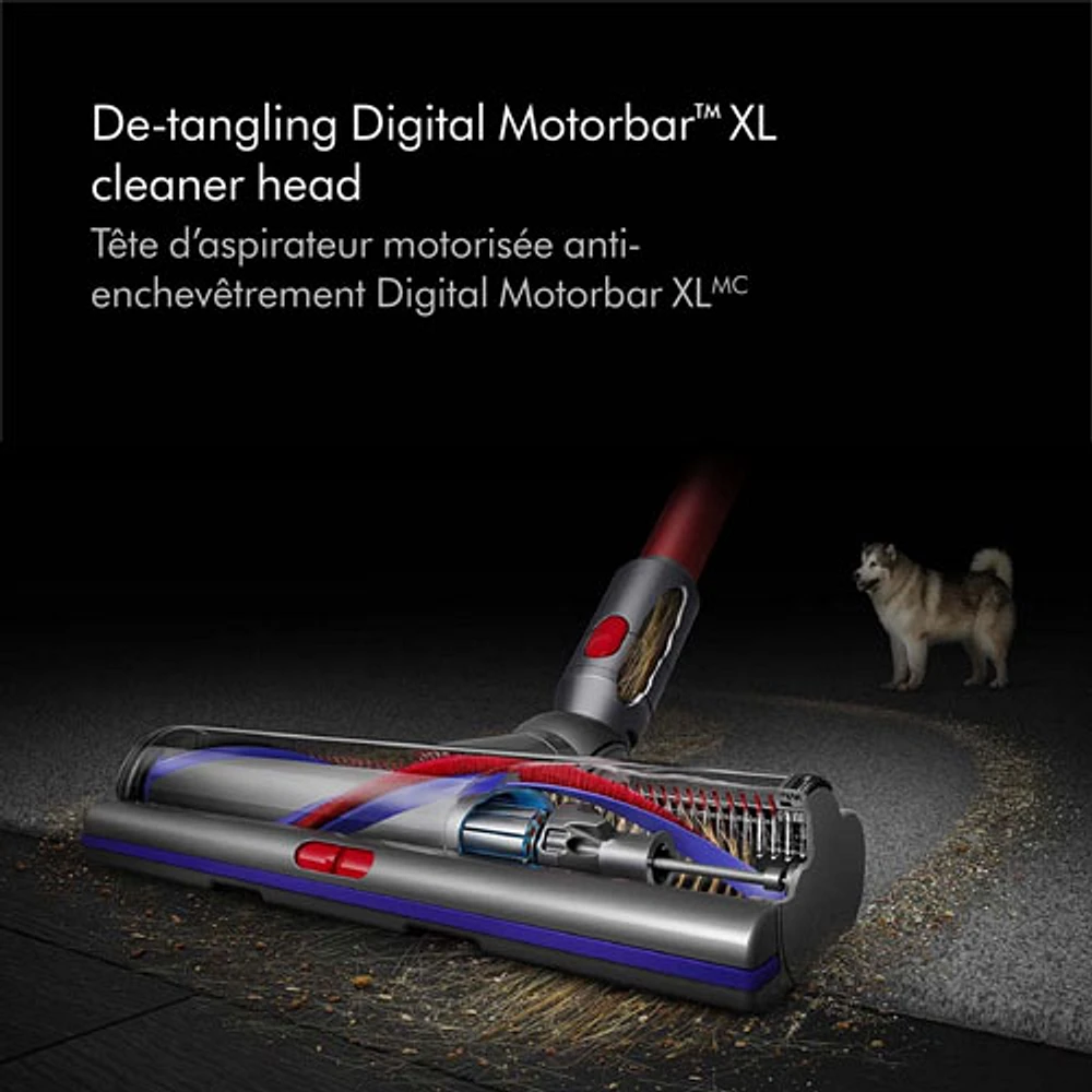 Aspirateur-balai sans fil Outsize Total Clean de Dyson avec batterie supplémentaire - Nickel/Rouge