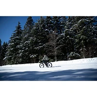 NCM Aspen Fat Tire Electric Off-Road Bike (500W Motor / Up to 110km Range / 32km/h Top Speed) - Matte Black