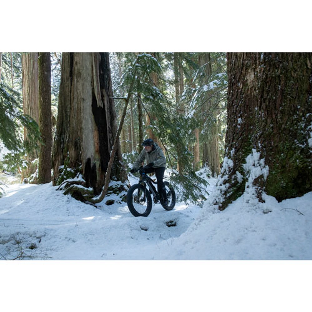 NCM Aspen Fat Tire Electric Off-Road Bike (500W Motor / Up to 110km Range / 32km/h Top Speed) - Matte Black