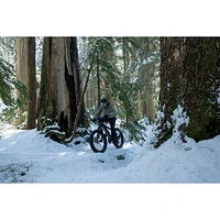 NCM Aspen Fat Tire Electric Off-Road Bike (500W Motor / Up to 110km Range / 32km/h Top Speed) - Matte Black