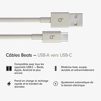 Câble tissé USB-A à USB-C de 1,5 m (4,9 pi) de Beats By Dr. Dre (MDGJ4LL/A) - Gemme éclair