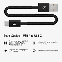 Beats By Dr. Dre 0.2m (0.65 ft.) USB-A to USB-C Woven Cable (MEQL4LL/A) - Bolt Black