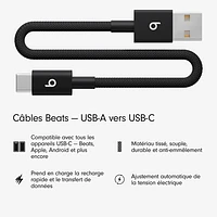 Beats By Dr. Dre 0.2m (0.65 ft.) USB-A to USB-C Woven Cable (MEQL4LL/A) - Bolt Black