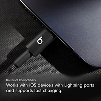 Beats By Dr. Dre 0.2m (0.65 ft.) USB-C to Lightning Woven Cable (MEQM4LL/A) - Bolt Black