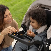 Evenflo Omni Signature Convertible Stroller with LiteMax Infant Car Seat - Porto Black