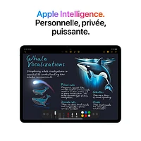 iPad Air M3 po Go avec Wi-Fi 6E et 5G d'Apple (7e génération