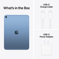 iPad A16 de 10,9 po et de Go avec Wi-Fi 6 et 5G d'Apple (11e génération