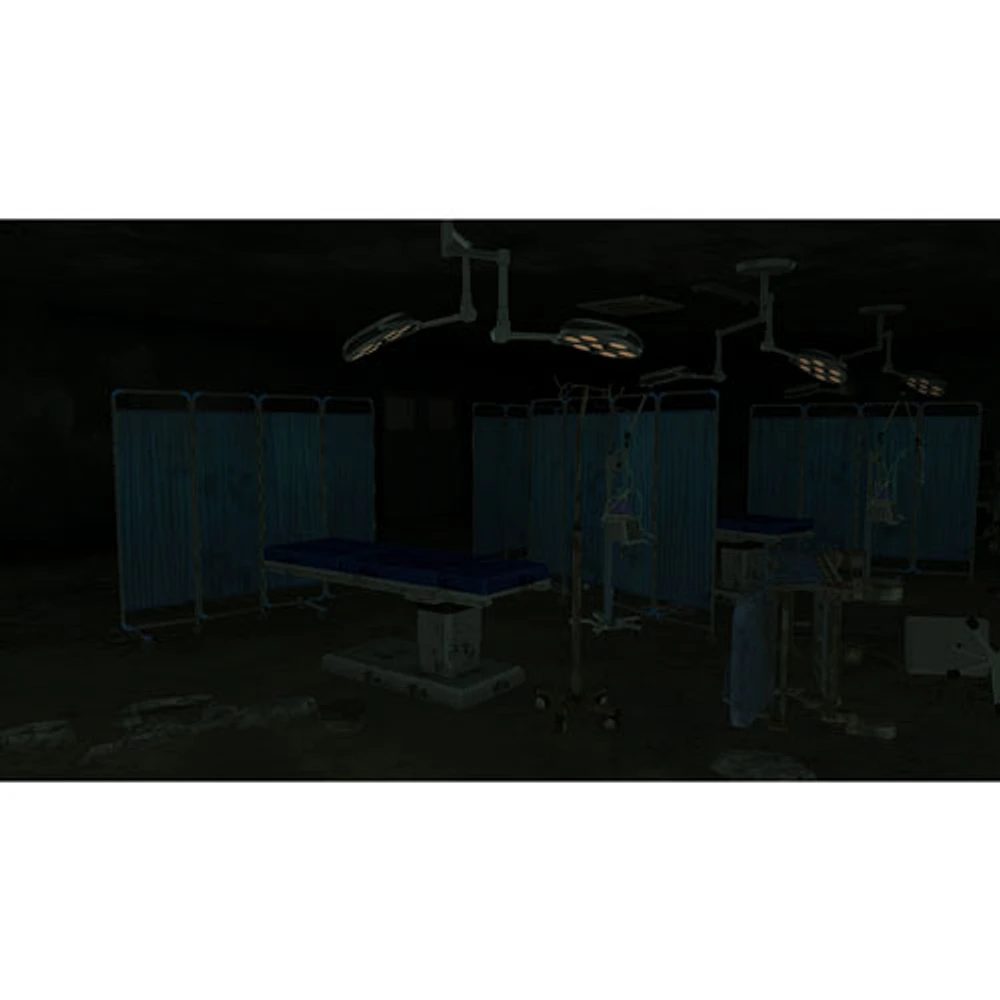 Corpse Party 2: Darkness Distortion Game Ayame's Mercy Edition (PS4) - English