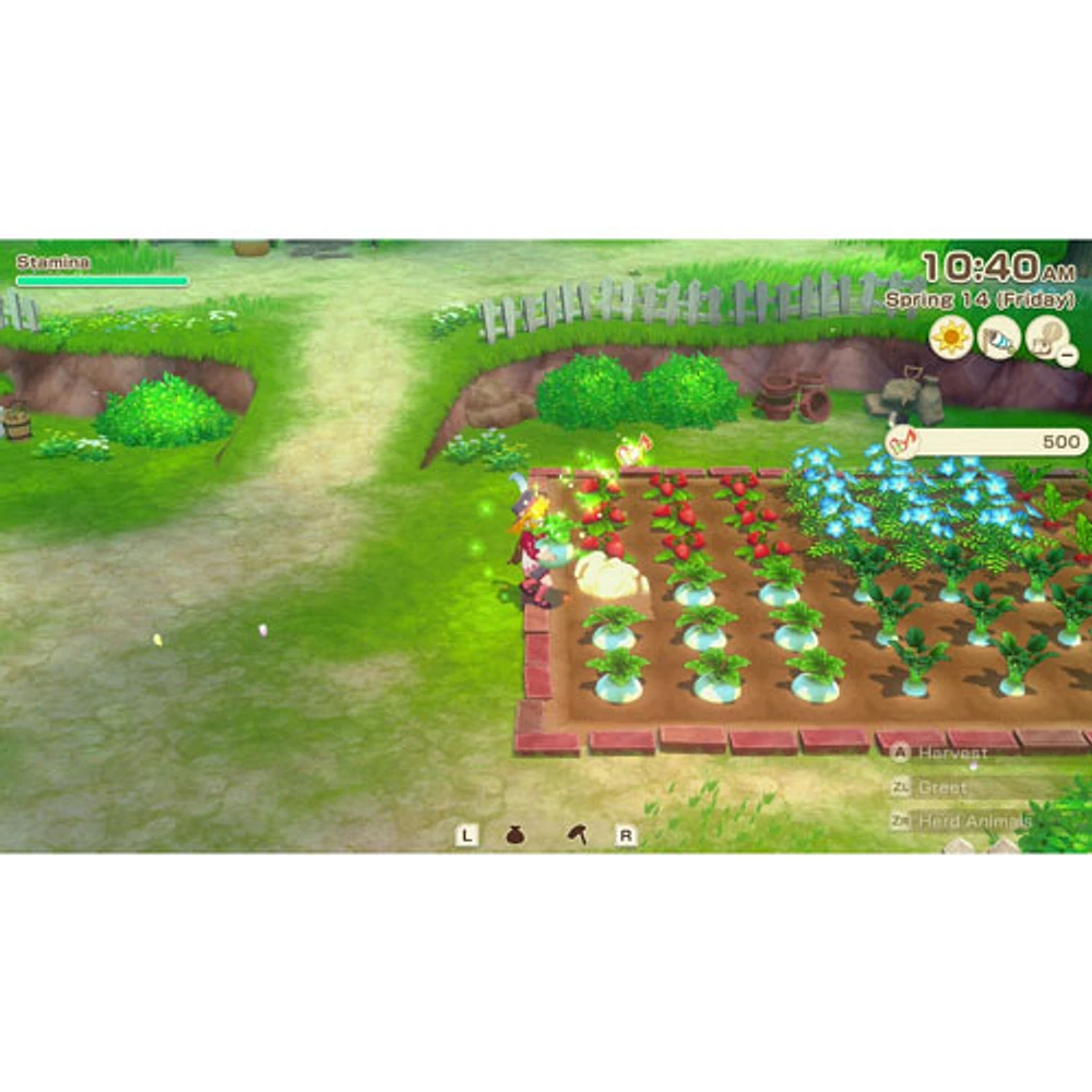 Story of Seasons: Grand Bazaar (Switch) - English