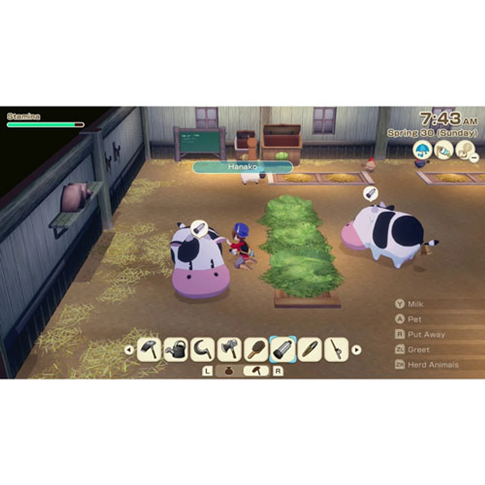 Story of Seasons: Grand Bazaar Premium Edition (Switch) - English