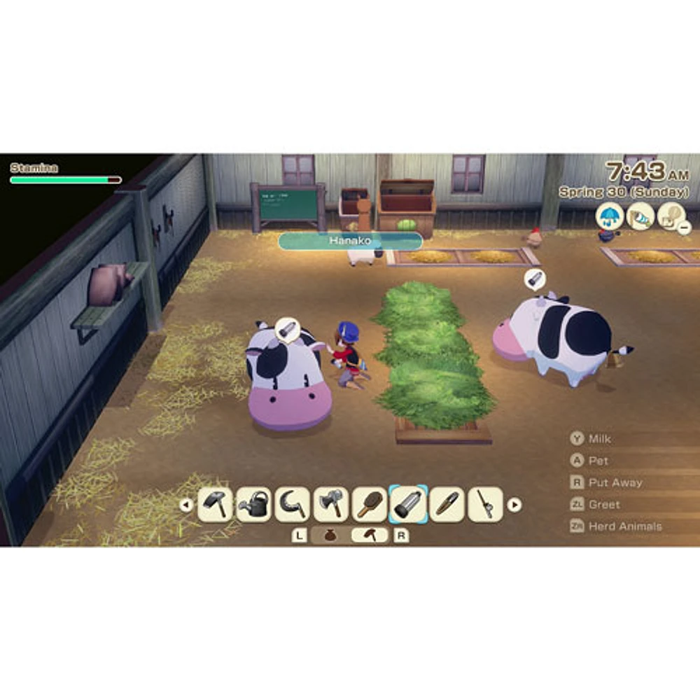 Story of Seasons: Grand Bazaar Premium Edition (Switch 2)