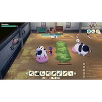 Story of Seasons: Grand Bazaar Premium Edition (Switch 2)