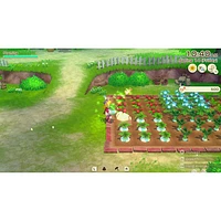 Story of Seasons: Grand Bazaar Premium Edition (Switch 2)