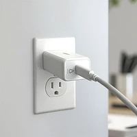 Chargeur mural USB-C PD de 30 W de LBT (LBTPD30W2)
