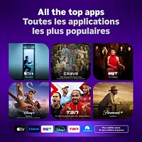 Lecteur multimédia de diffusion en continu Streaming Stick HD de Roku avec télécommande