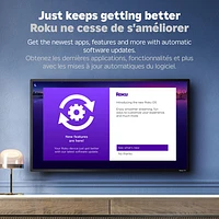 Lecteur multimédia de diffusion en continu Streaming Stick HD de Roku avec télécommande