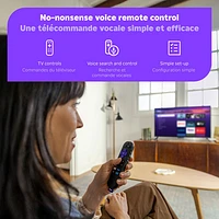 Lecteur multimédia de diffusion en continu Streaming Stick HD de Roku avec télécommande