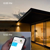 Ampoule DEL intelligente Wi-Fi Tapo de TP-Link - Paquet de