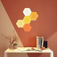 Panneaux lumineux hexagonaux de Nanoleaf - Trousse intelligente - 5 panneaux