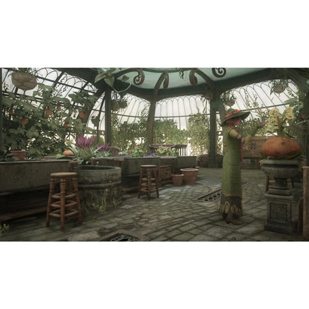 Hogwarts Legacy (Switch 2)