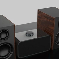 Mini diffuseur audio de WiiM