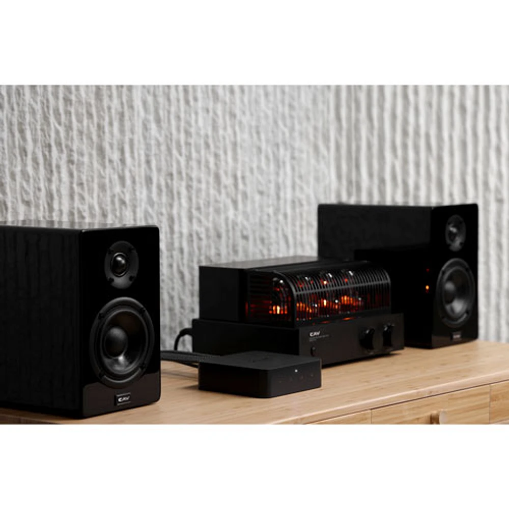 Diffuseur audio Pro Plus de WiiM