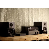 Diffuseur audio Pro Plus de WiiM