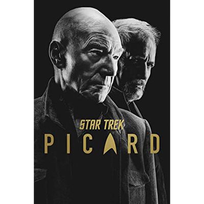 Star Trek Picard: Season Two (English) (Blu-ray) (2022)