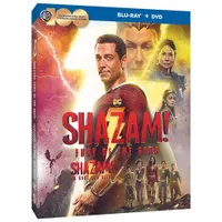 Shazam! Fury of the Gods (Blu-ray Combo) (2023)